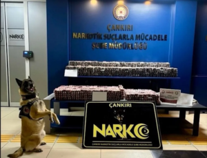 Çankırı’da Narkotik Operasyonu: Binlerce Hap Yakalandı