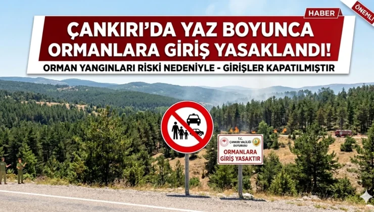Çankırı’da Yaz Boyunca Ormanlara Giriş Yasaklandı: Valilik Duyurdu!